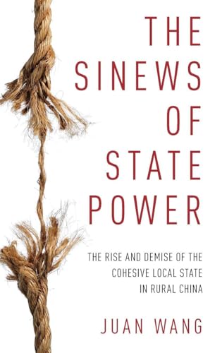 Sinews of State Power