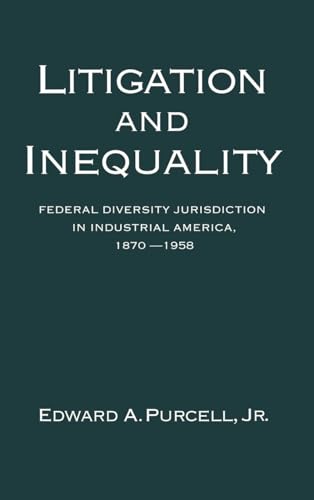 Litigation and Inequality