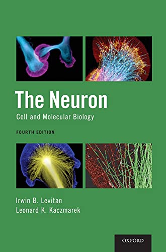 Neuron