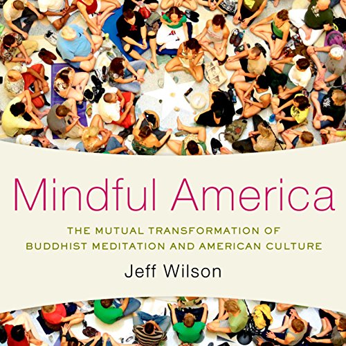 MINDFUL AMERICA C