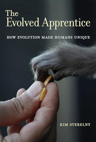 The Evolved Apprentice