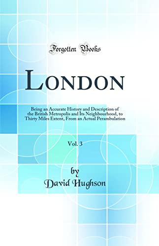 London, Vol. 3: Being an Accurate History and Description of the British Metropolis and Its Neighbourhood, to Thirty Miles Extent, From an Actual Perambulation (Classic Reprint)
