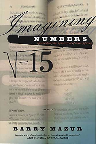 Imagining Numbers