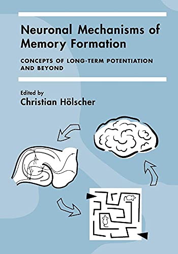 Neuronal Mechanisms of Memory Formation