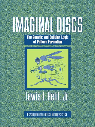 Imaginal Discs