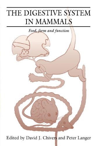 The Digestive System in Mammals