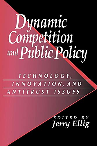 Dynamic Competition and Public Policy