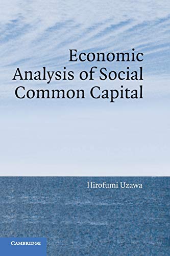 Economic Analysis of Social Common Capital