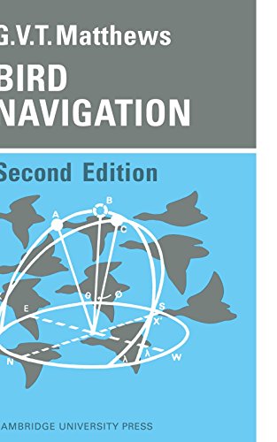 Bird Navigation