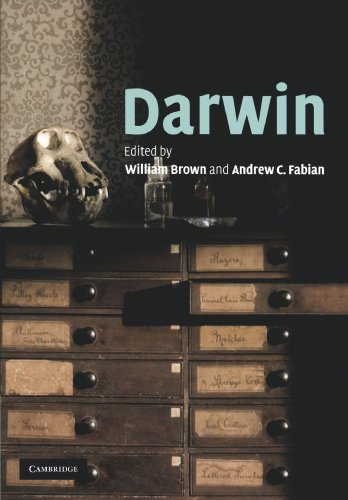 Darwin