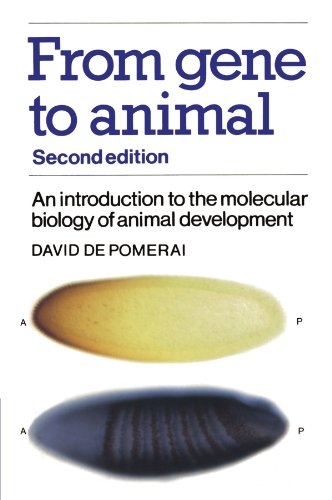 From Gene to Animal