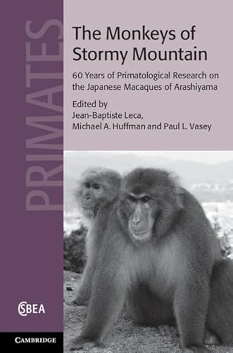 The Monkeys of Stormy Mountain