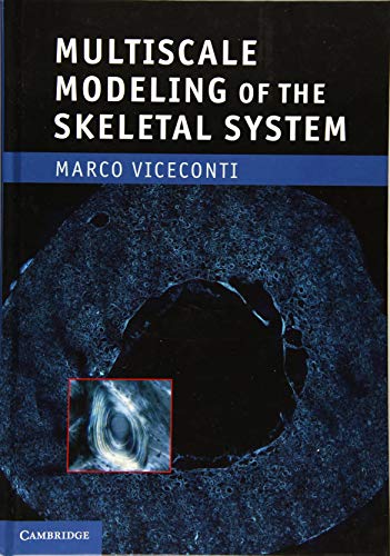Multiscale Modeling of the Skeletal System