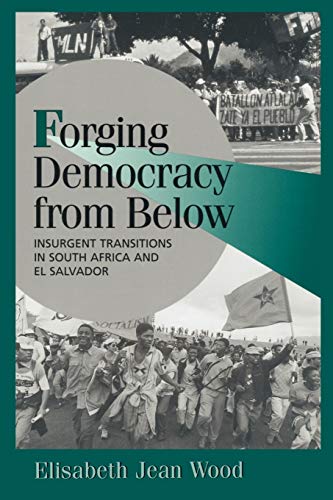 Forging Democracy from Below