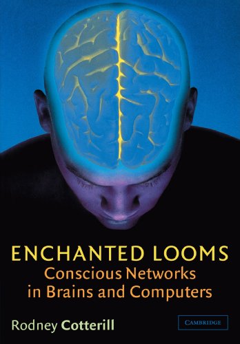 Enchanted Looms