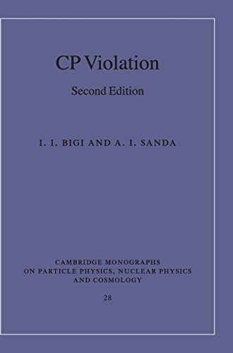 CP Violation