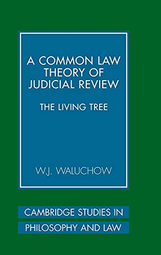 A Common Law Theory of Judicial Review