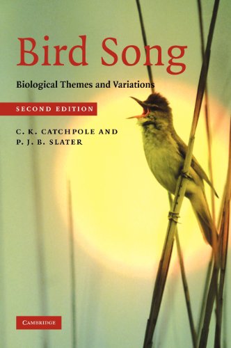 Bird Song