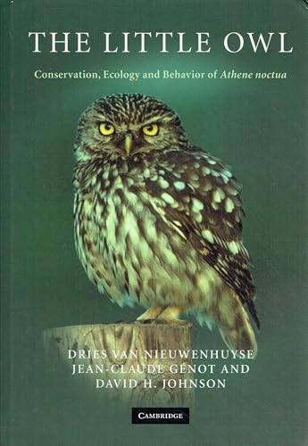The Little Owl