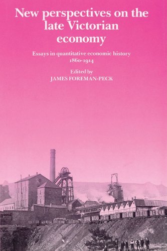 New Perspectives on the Late Victorian Economy
