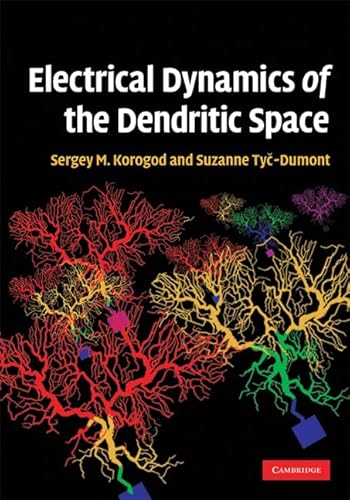 Electrical Dynamics of the Dendritic Space