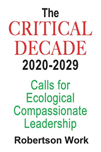 THE CRITICAL DECADE 2020 - 2029
