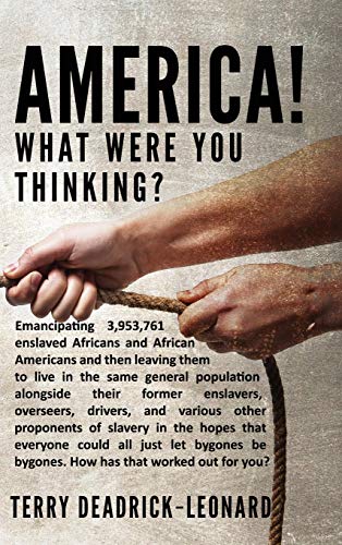 America! What Were You Thinking?