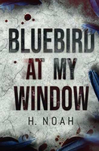 Bluebird At My Window