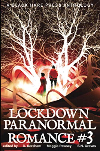 LOCKDOWN paranormal Romance #3