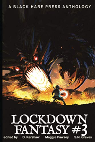 LOCKDOWN FANTASY #3