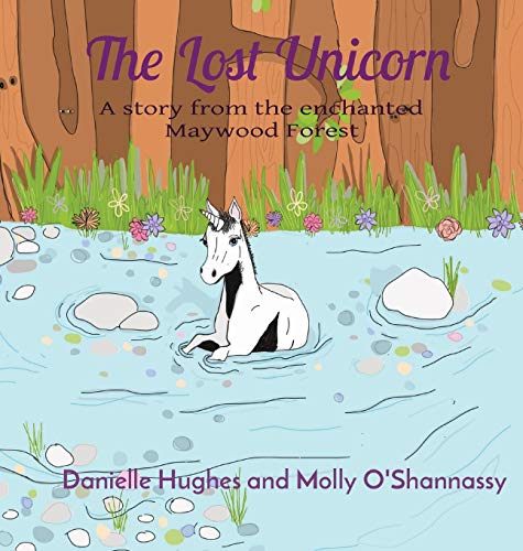 The Lost Unicorn