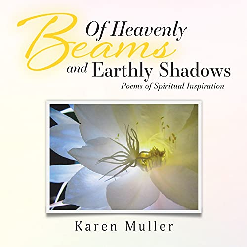Of Heavenly Beams and Earthly Shadows