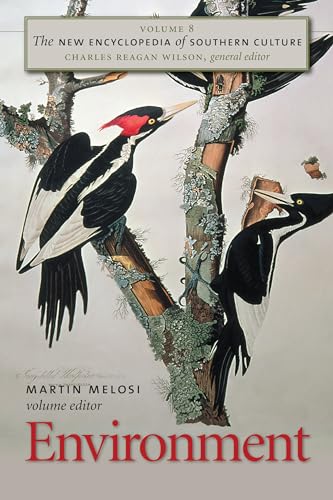 The New Encyclopedia of Southern Culture