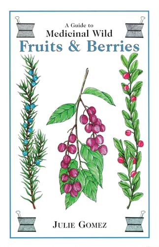 A Guide to Medicinal Wild Fruits & Berries