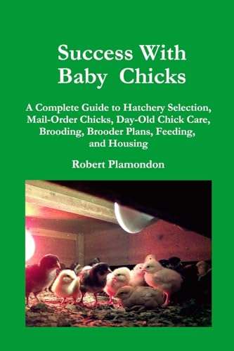 Success with Baby Chicks