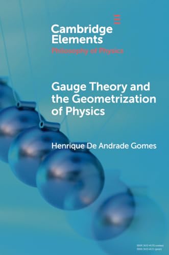 Gauge Theory and the Geometrisation of Physics