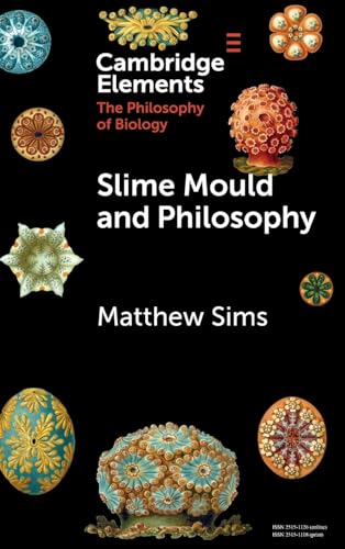 Slime Mould and Philosophy