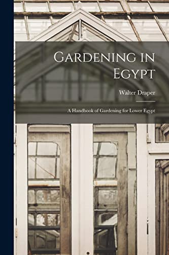 Gardening in Egypt