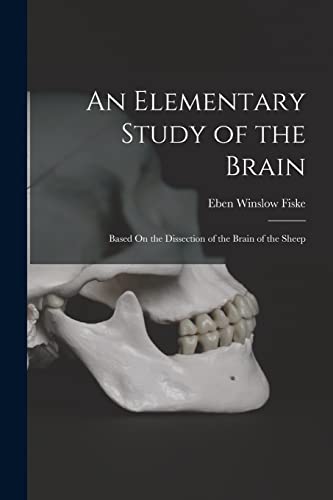 An Elementary Study of the Brain