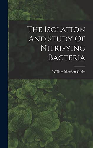 The Isolation And Study Of Nitrifying Bacteria