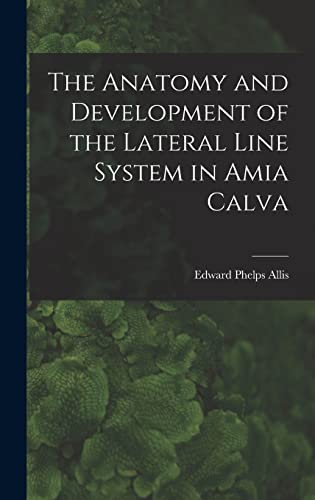 The Anatomy and Development of the Lateral Line System in Amia Calva