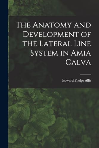 The Anatomy and Development of the Lateral Line System in Amia Calva