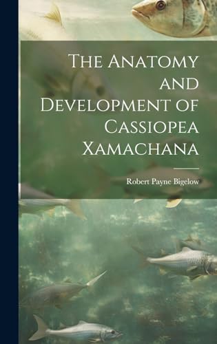 The Anatomy and Development of Cassiopea Xamachana