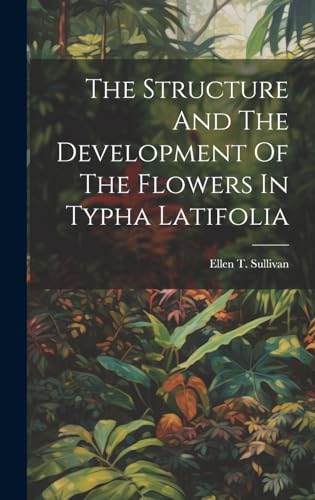 The Structure And The Development Of The Flowers In Typha Latifolia