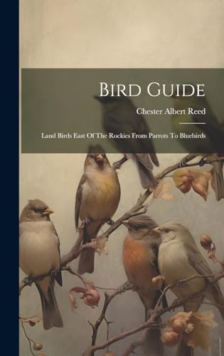 Bird Guide