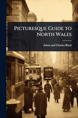 Picturesque Guide to North Wales