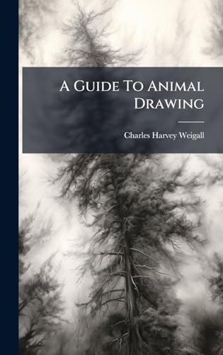 A Guide To Animal Drawing