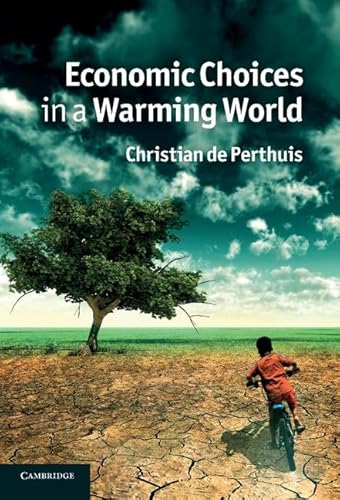 Economic Choices in a Warming World