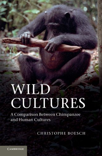 Wild Cultures