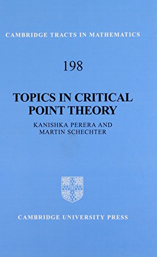 Topics in Critical Point Theory